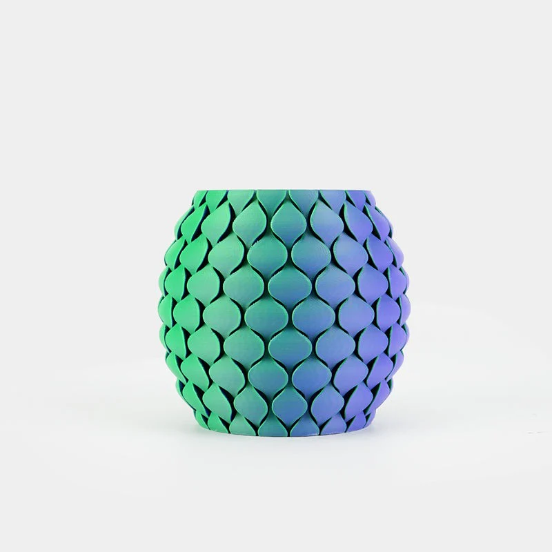 SUNLU Matte PLA Dual-Color 3D Printer Esthenic Filament 1KG, Seamless Two-Tone Shifts & Soft Matte Finish - Image 23
